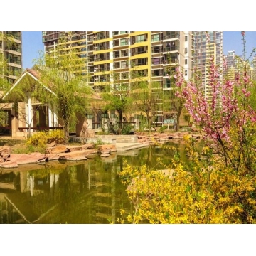 中式禅意大床房